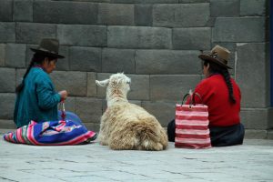 cusco, peru, andes-1023081.jpg